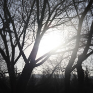 何人寄我相思意