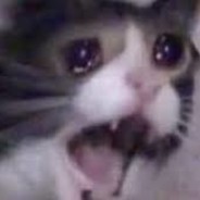 AAAAAAAAAAAAAAAAAAAAAAAAAAA