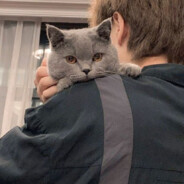 翻斗花园何大爷