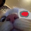 [⇄] RAGood bot №3