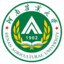 瑾年