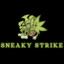 Sneaky Strike ~Rimesiak