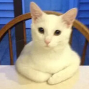 intricate beetle farm  소그룹