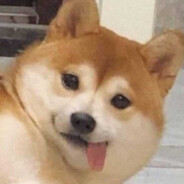 阿基米德瑞士卷