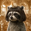 ⚡classical raccoon