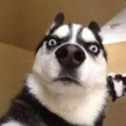 olddog (ノ｀Д)ノ