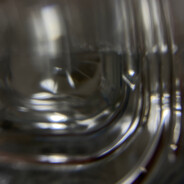 一拳揍翻大袋鼠