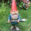 Gnome