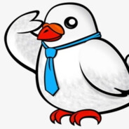 恐怖分子小白鸽