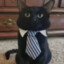 Lord of Honor