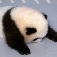 垃圾桶里捡内裤