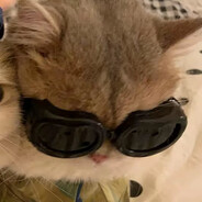 不能吃辣