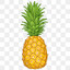 Pineapple Albertson JR.