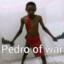 pedro of war