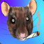 Smoking Rat