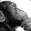Clever-Monkey