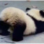 为什么追我？
