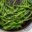 green beans