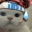 AAA太阳能路灯批发于师