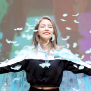 一只叫Nemo的比熊