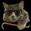 dumpster_gameTTV