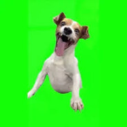 ChiefPeek