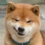大狗狗将军