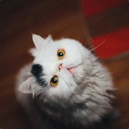 对不起，我要单杀你了