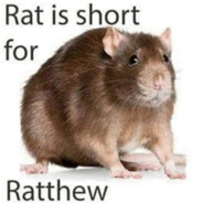 Ratthew