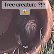Tree creature ?!?