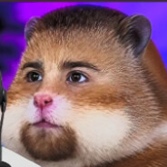 Zyggy