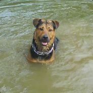 [SmB] CaLbUtE EnRaGé (gros)