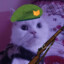 Snow the army cat