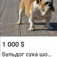 кацер Steam avatar