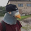 Pombo