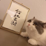 我和鲨鱼一起冲浪