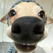 啦啦啦啦啦啦啦啦啦啦啦啦啦啦啦啦啦啦啦啦啦