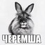 черемша peek