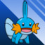 Mudkip