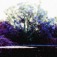 Sunебатьегоротflower