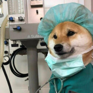 眼镜儿给你干碎