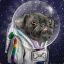 a pug from space