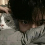 晚安是我的谎言