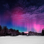 山顶黑毒蛇（k佬）