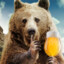 bear with beer