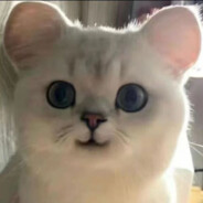 二次元传送门123