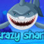 crazy shark