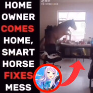 kind horse fixes mess's avatar