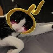 LALA LALA