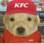 KFC_Dog_Fanatic12
